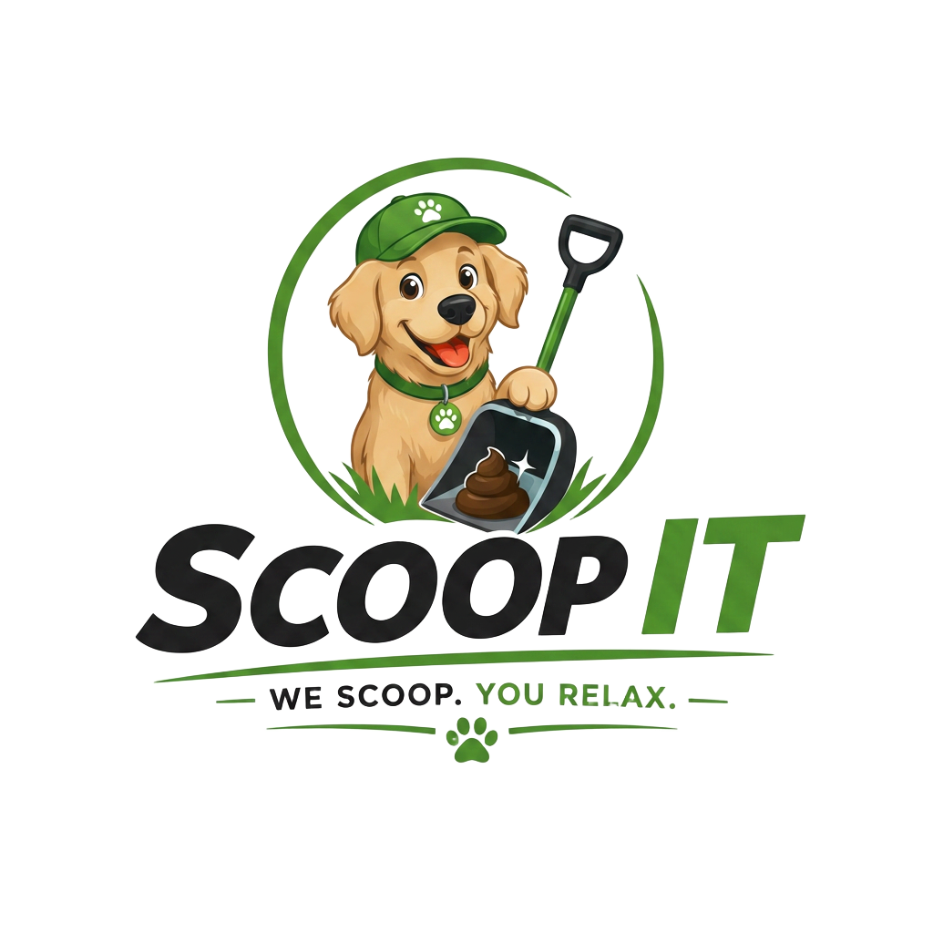 Scoop It Logo